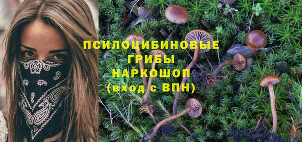 ПСИЛОЦИБИНОВЫЕ ГРИБЫ Белоозёрский