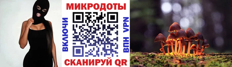 Псилоцибиновые грибы ЛСД Белая Калитва